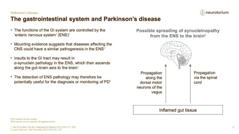 Parkinsons Disease – Course Natural History and Prognosis – slide 14